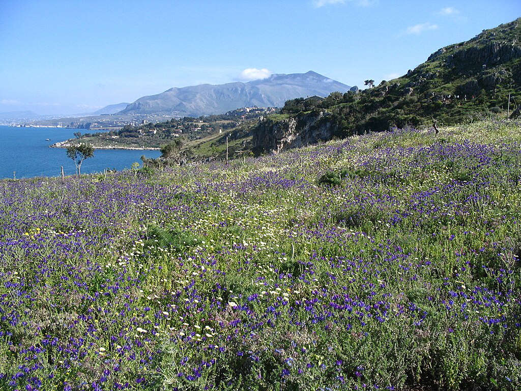 Parc de Zingaro, vue sur Castellammare do Golfo - photo de Patrice78500 - Licence ccbysa 4.0