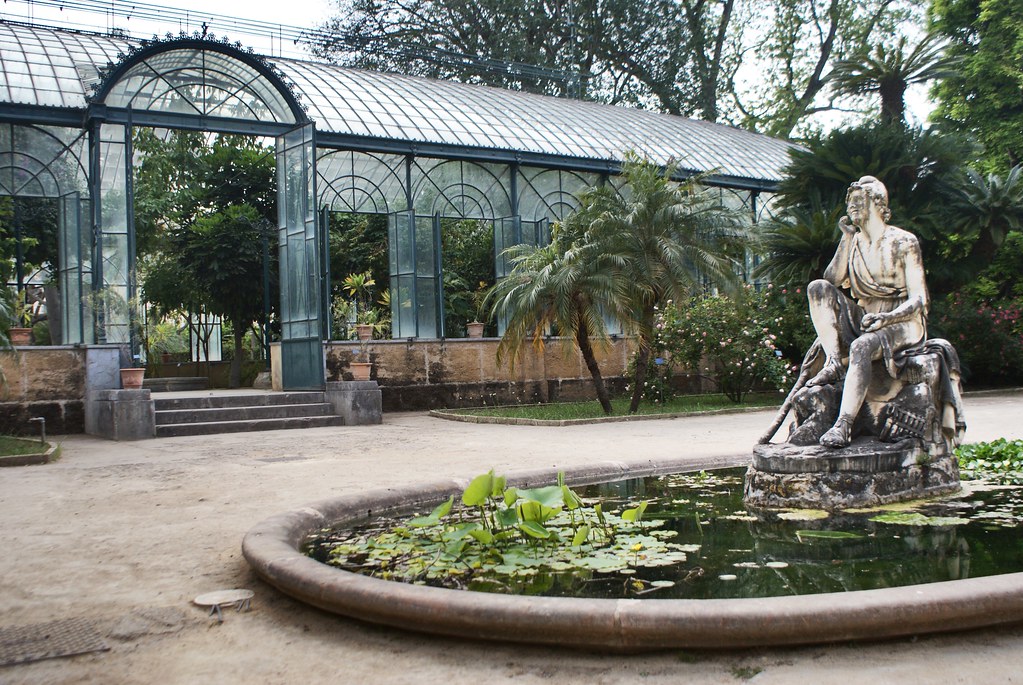 Serre du jardin botanique de Palerme.