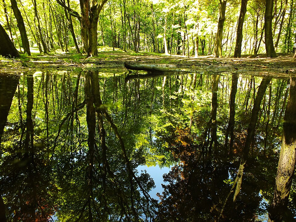 Dans le parc municipal de Bytom - Photo de Wojciech Domagala - Licence ccby 3.0