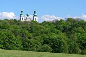 Bois Wolski et de Tyniec autour de Cracovie : Randonnées, VTT, zoo et… vignobles !