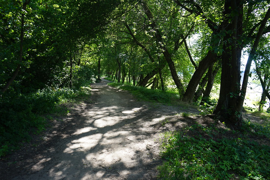 Sentier de la réserve naturelle Kępa Bazarowa sur la rive sud de la Vistule à Torun.
