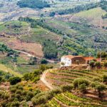 Vallée du Douro près de Porto: Dégustation et croisière