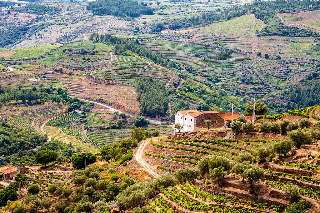 Vallée du Douro à l'ouest du Portugal - Photo de mat eye's - Licence ccby 2.0