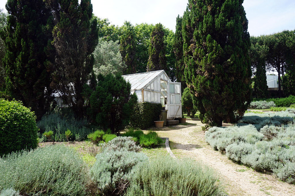 Serre dans le parc Serralves au milieu de plantes aromatiques et médicinales (simples).