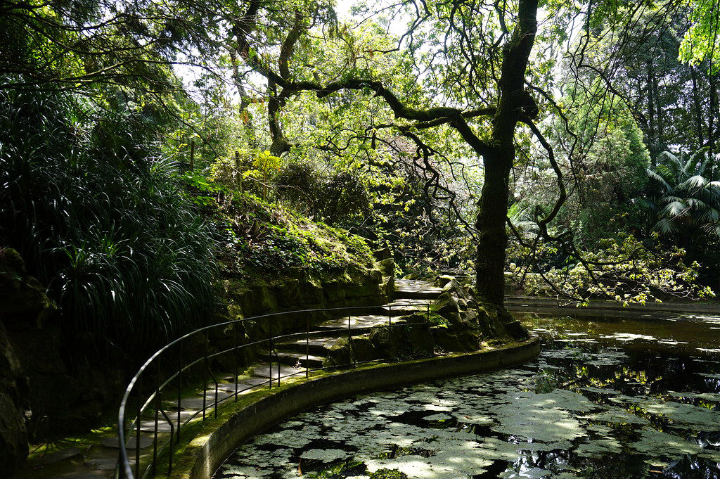 Au bord de l'étang du parc Serralves de Porto.