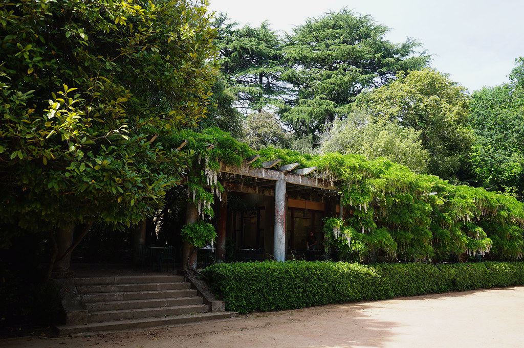 Salon de thé sous les glycines du jardin Serralves à Porto.