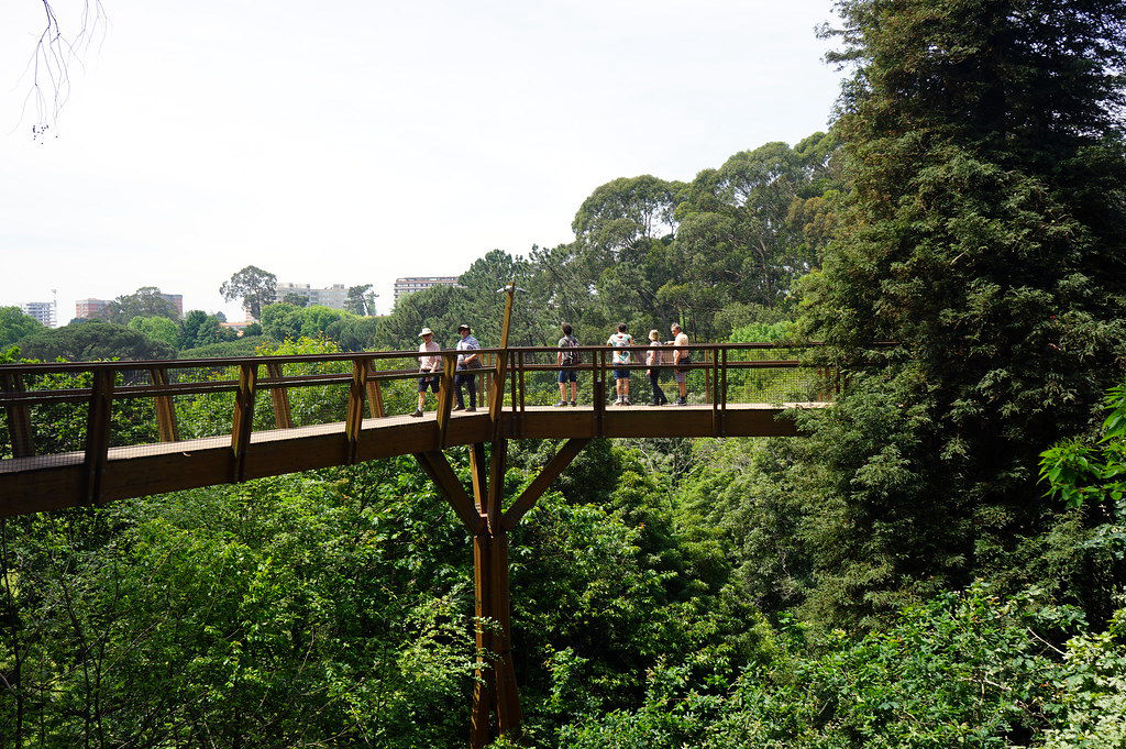 Passerelle au niveau de la canopée dans le jardin du musée Serralves à Porto.