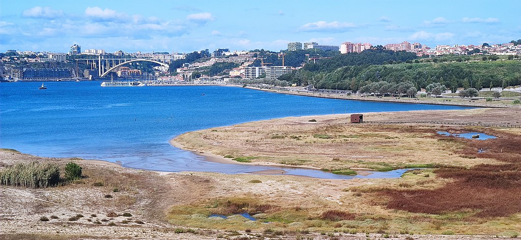 réserve naturelle de l'estuaire du Douro - Photo de Nuk3n - Licence ccbysa 4.0