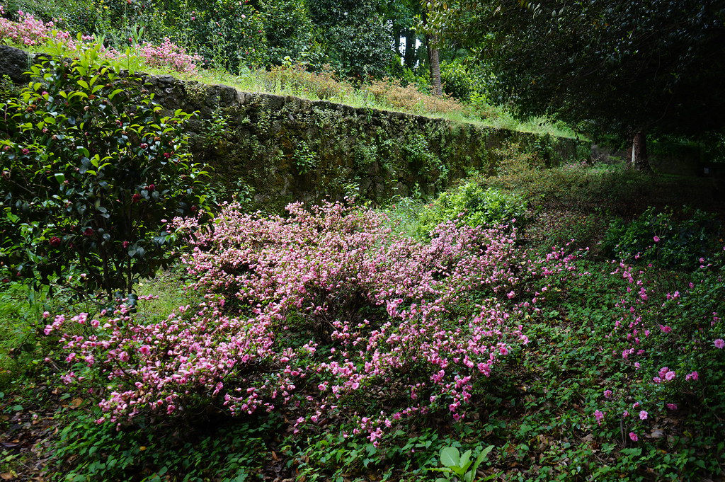 Jardin en fleur du Parque Quinta das Devesas à Porto / Vila Nova de Gaia.