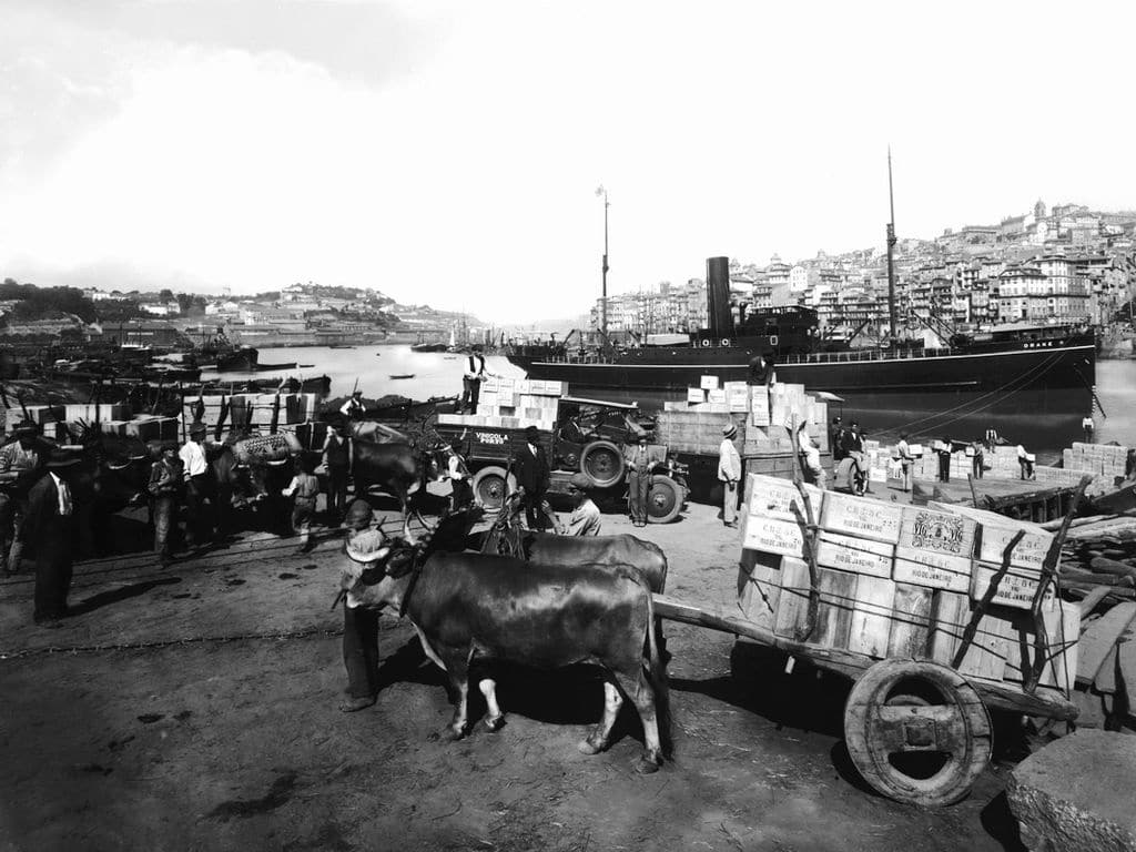 > Chargement de portos sur les quais de Vila Nova de Gaia dans les années 1930/1940 (?). Photo de Domingos Alvão