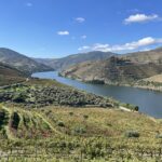 Vallée du Douro près de Porto: Histoire, dégustation et comment venir