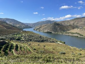 Vallée du Douro près de Porto: Histoire, dégustation et comment venir