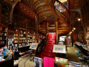 Librairie Lello à Porto : « bibliotheque Harry Potter »