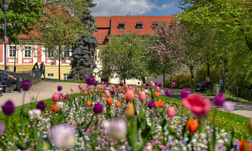 Colline de Petrin au dessu de Mala Strana à Prague - Photo de Jorge Franganillo