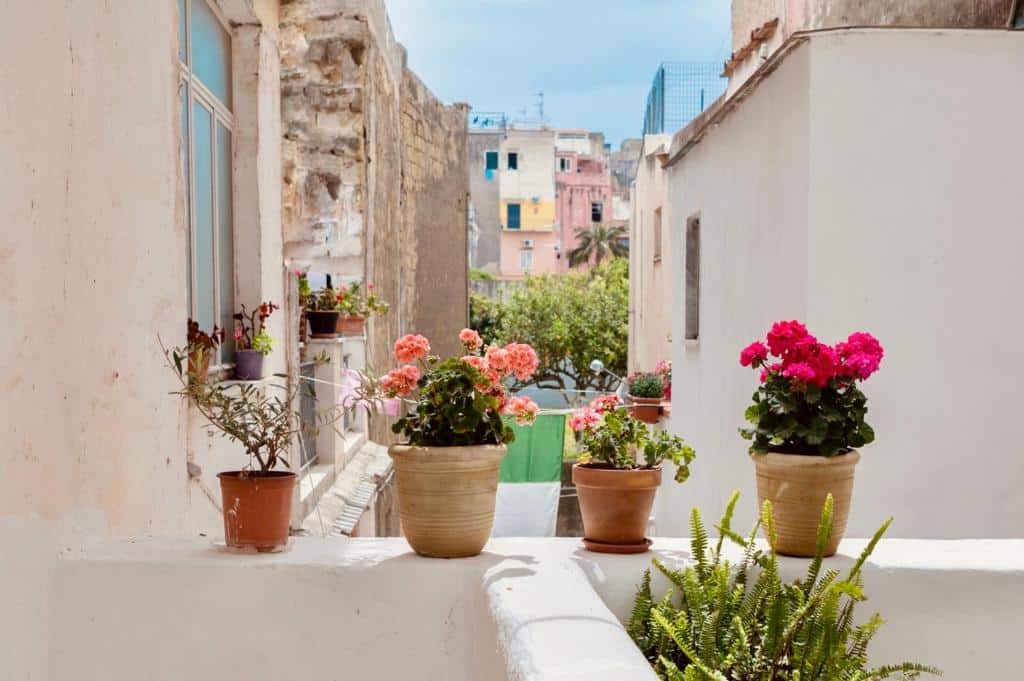 Hébergement à Procida : Appartement Il Riccio - Apartment 28.