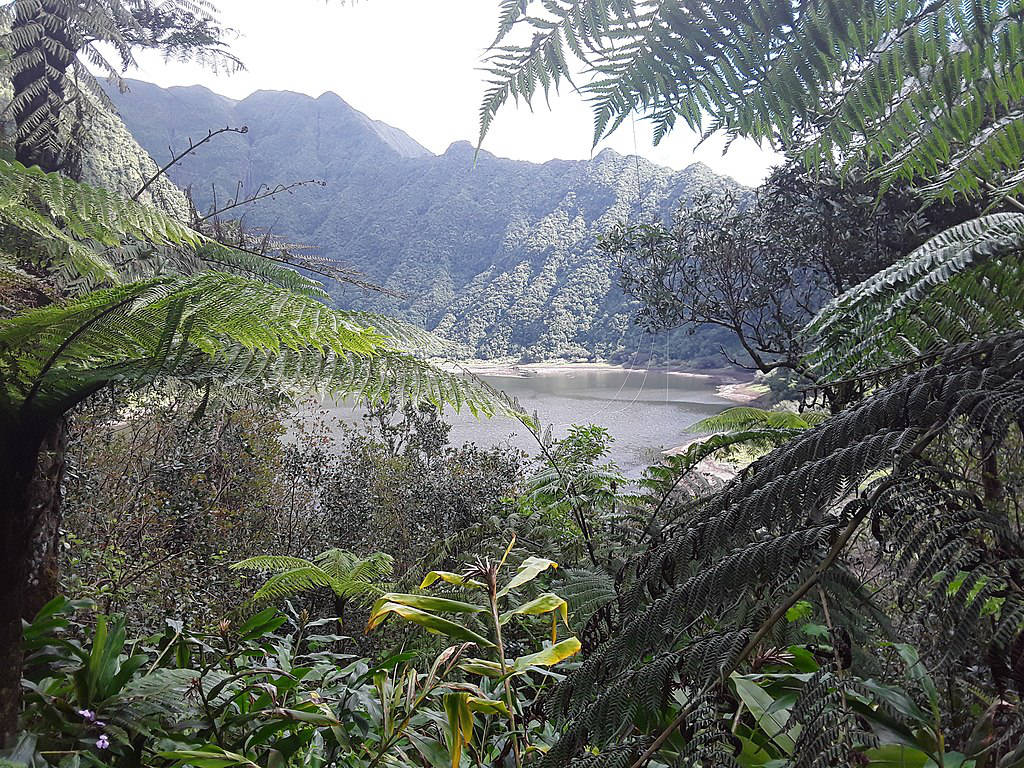 Grand Bassin de l'île de la Réunion - Photo de Cynomana - Licence ccbysa 4.0