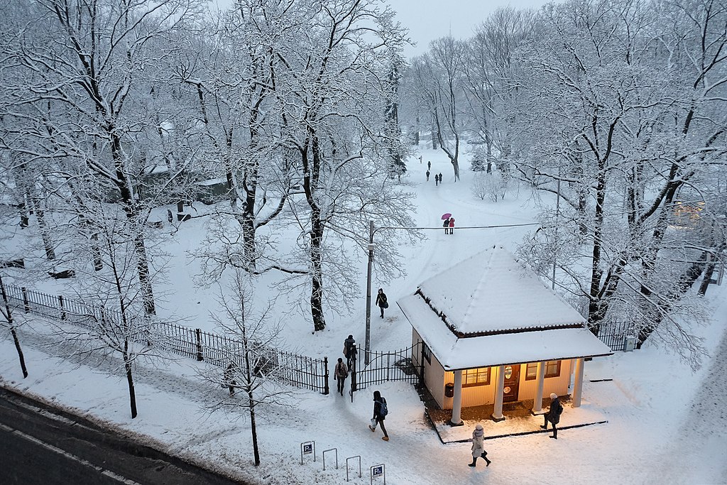 Dans le jardin de Vērmanes sous la neige dans le quartier de Centrs à Riga - Photo de Mārtiņš Bruņenieks