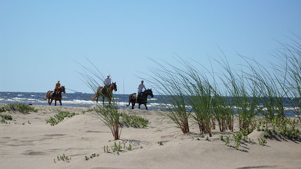 Plage Mangaļsala sur la mer Baltique au nord de Riga - Photo de Dmitrij M