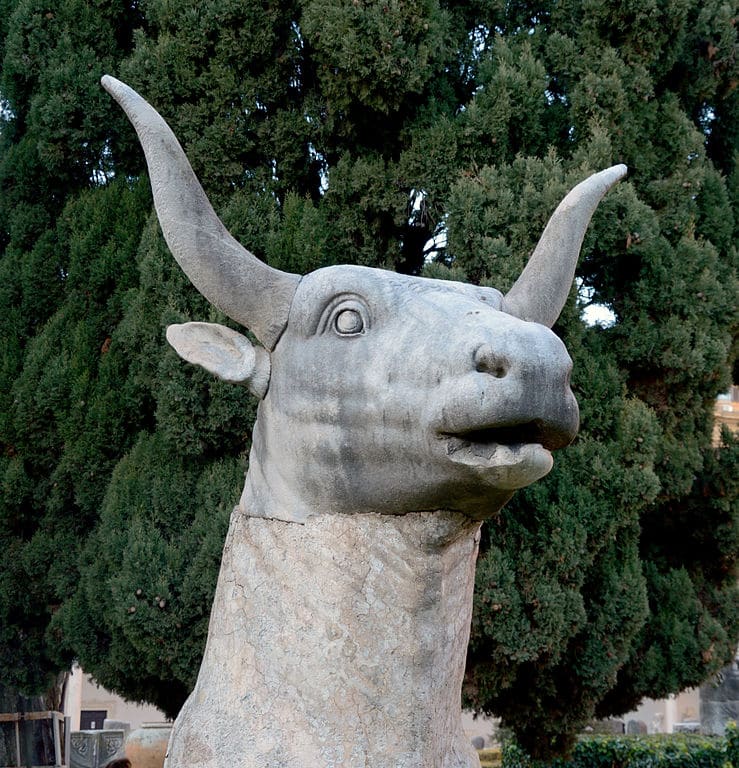 Antiquité : Musée des Thermes de Dioclétien à Rome : Tête de boeuf - Photo Livioandronico2013