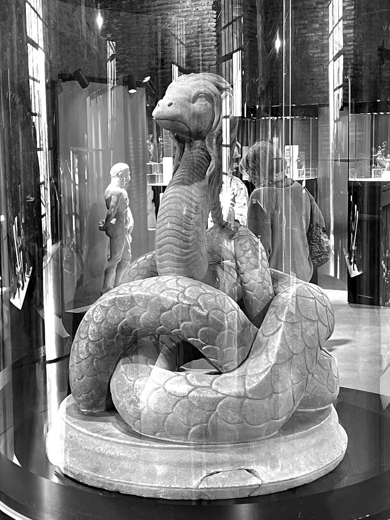 Serpent Glycon dans l'expo dédiée à la Dacie romaine dans le musée romain des Thermes de Diocletien à Rome.