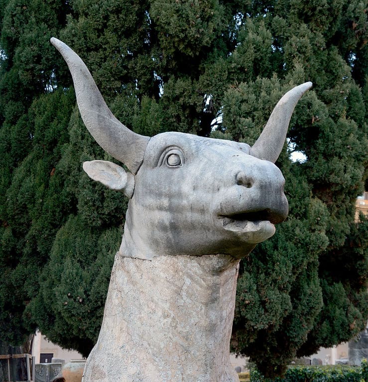 Antiquité : Musée des Thermes de Dioclétien à Rome : Tête de boeuf – Photo Livioandronico2013