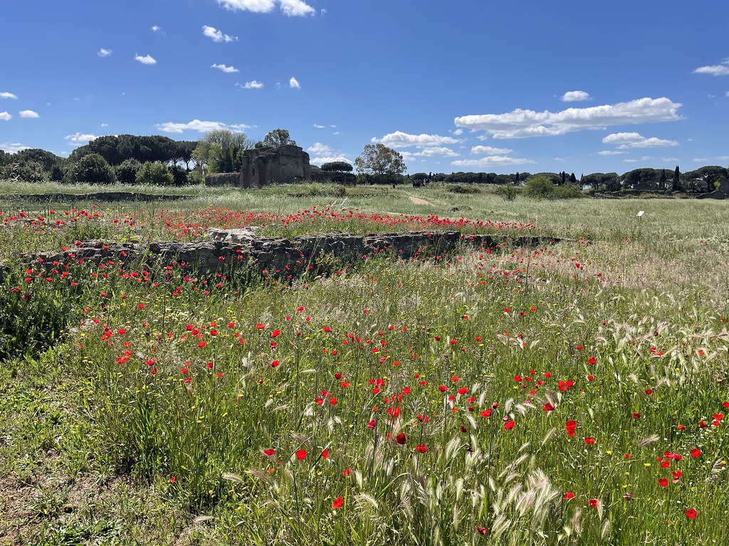 Paysage de campagne du Latium dans la Villa des Quintili à Rome.