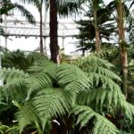 People Museum Palace de Glasgow : Botanique et histoire [East End]