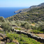 Carte de Sifnos (Grèce) : Tous les lieux du guide