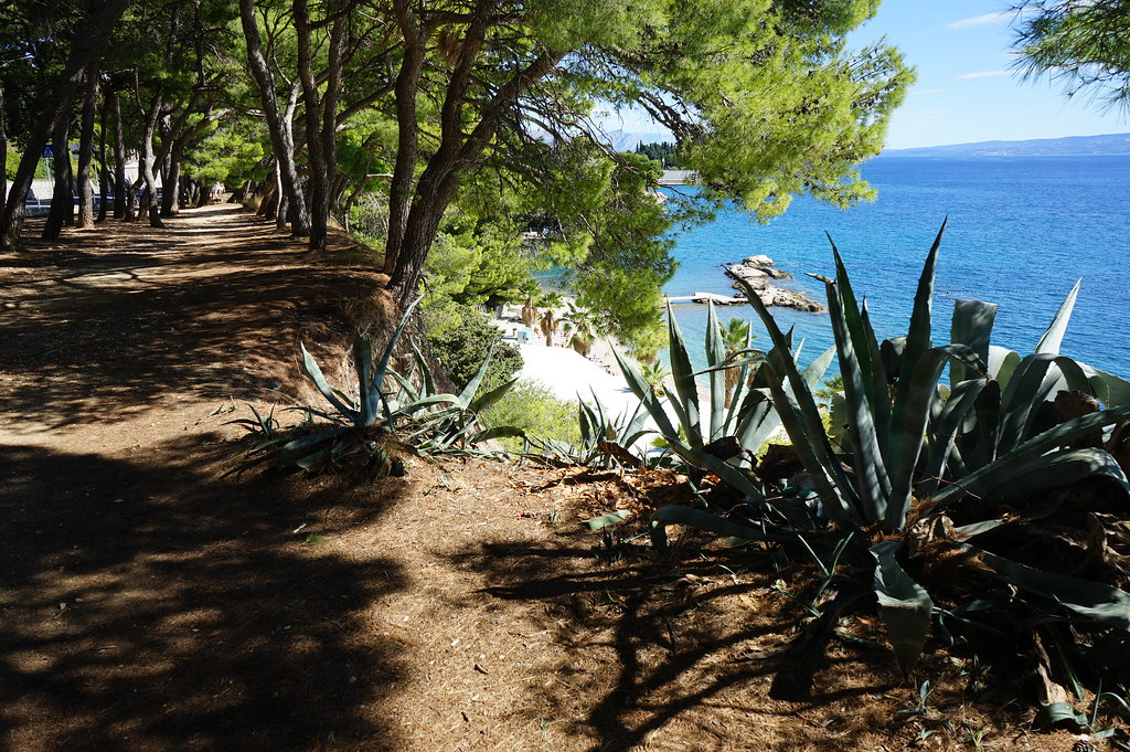 En route vers la plage de Jezinac à Split.