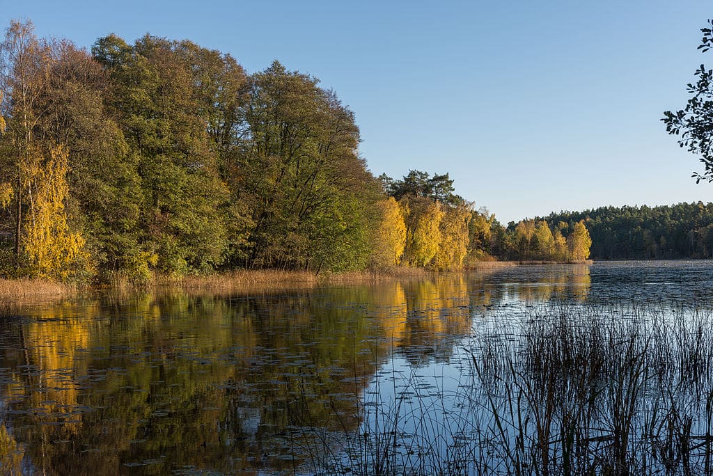 Dans le parc d'Hellasgarden, le lac Dammtorpssjon près de Stockholm - Photo d'Arild Vagen - Licence CCBYSA 3.0