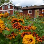 Skansen à Stockholm, musée en plein air pour toute la famille