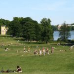 4 grands parcs avec forêts et lacs autour de Stockholm : Au vert !