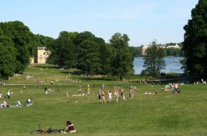 4 grands parcs avec forêts et lacs autour de Stockholm : Au vert !