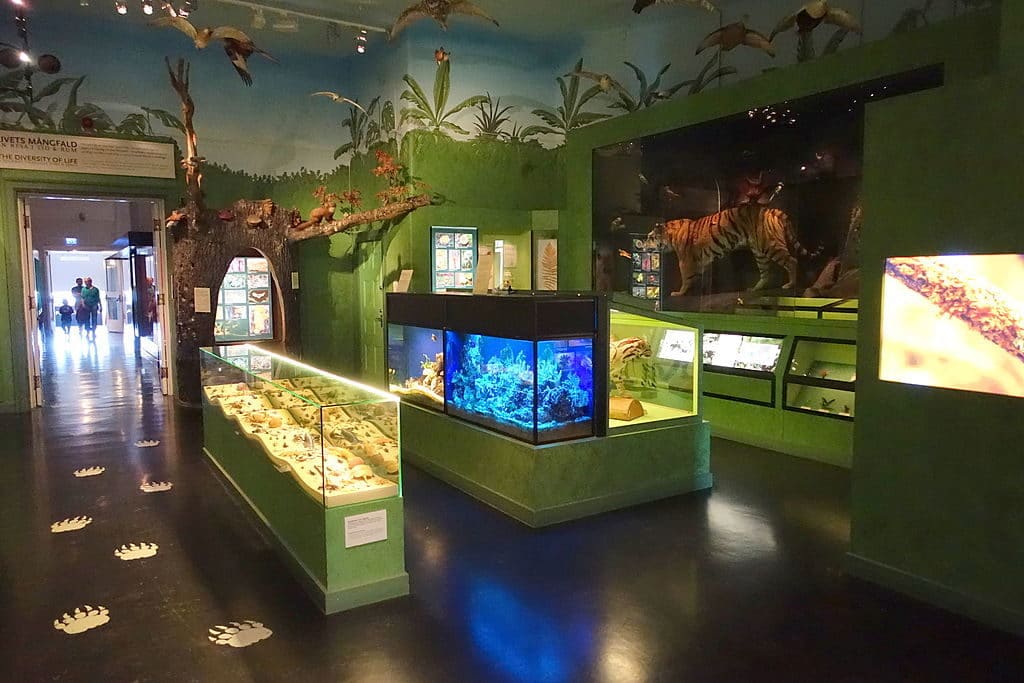 Intérieur du Musée d’histoires naturelles à Stockholm - Photo de Daderot