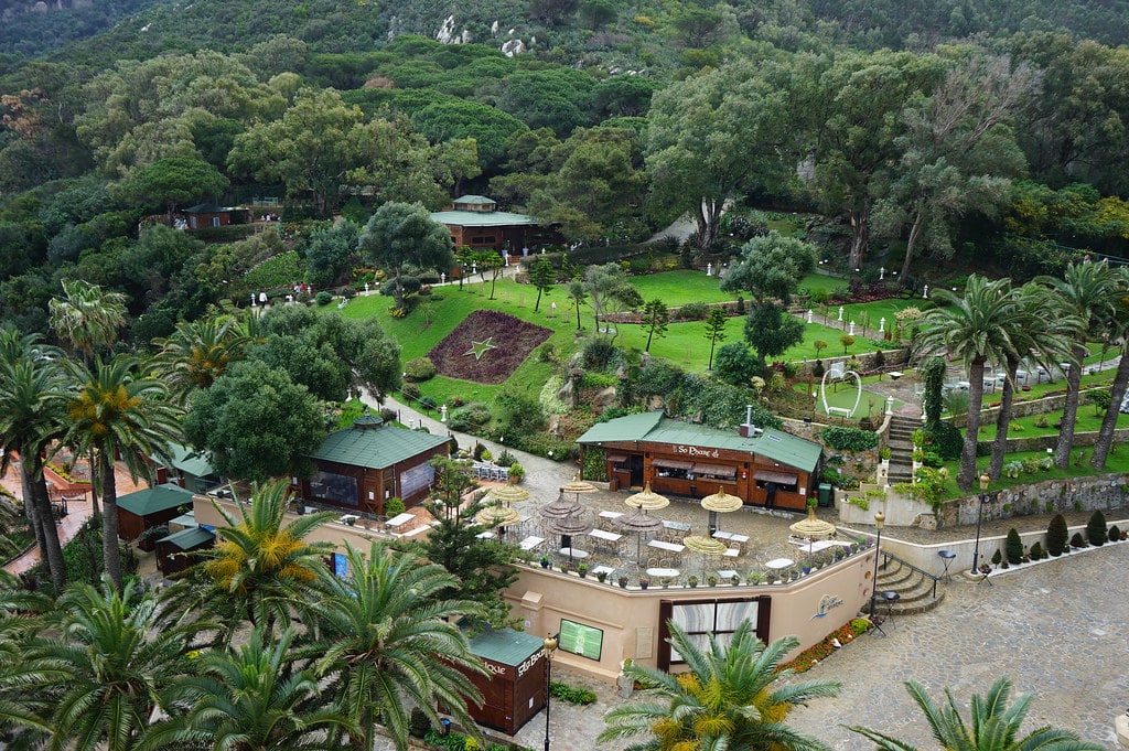 Vue sur le jardin botanique depuis le phare.