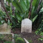 9 lieux de cultes à Tanger : Mosquées, églises et synagogues