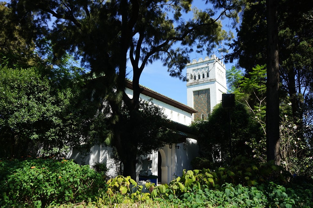 Sous les pins du cimetière de l'église Saint Andrew à Tanger.