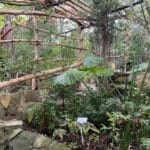 Jardin botanique Donabo Gardens à Tanger : Un café et des plantes