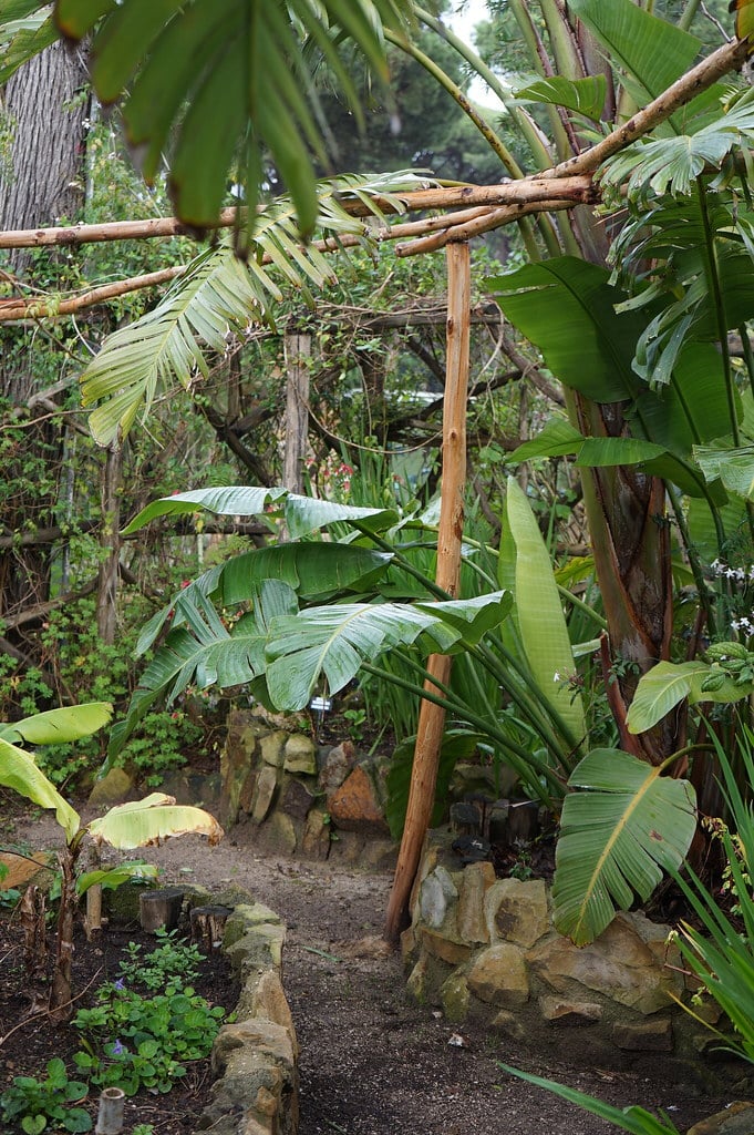 Dans le jardin botanique Donabo à Tanger.