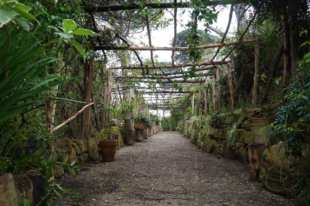 Pergola dans le jardin botanique Donabo gardens à Tanger.