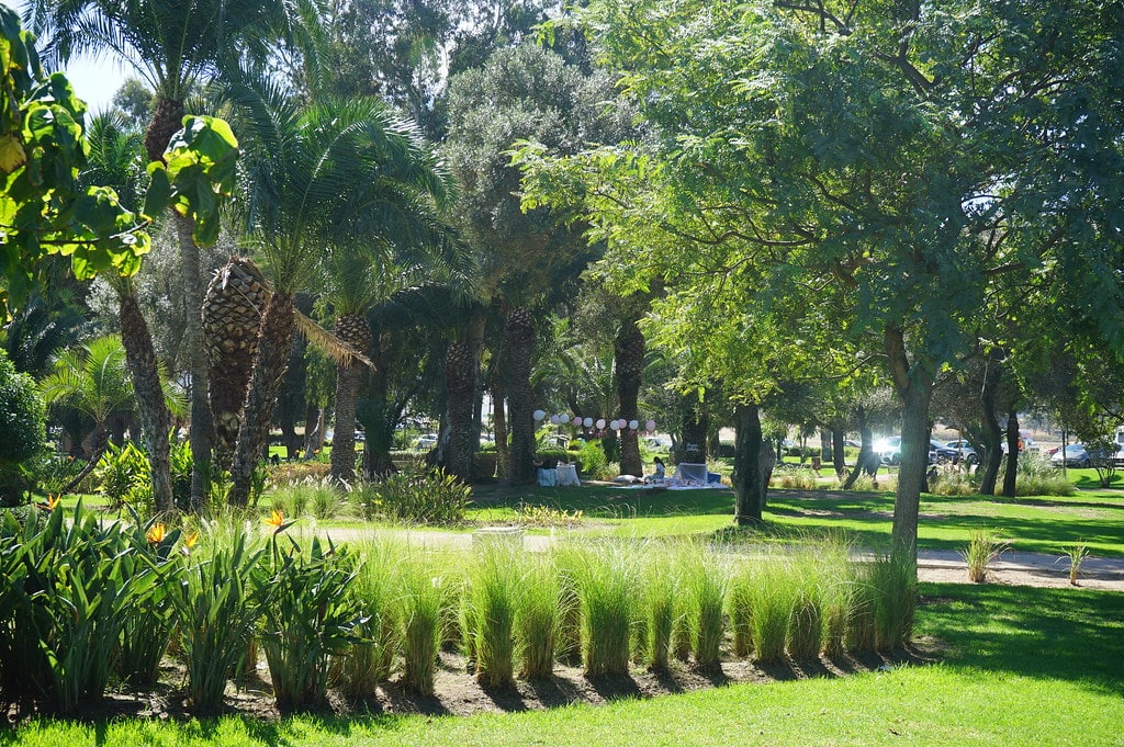 Dans le jardin de la Villa Harris à Tanger.
