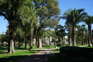 10 Plus beaux espaces verts de Tanger : Parcs, jardins et forêts