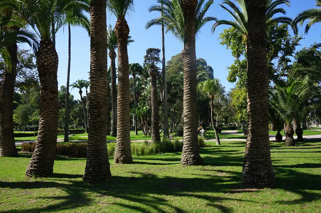 Dans le jardin de la Villa Harris à Tanger.