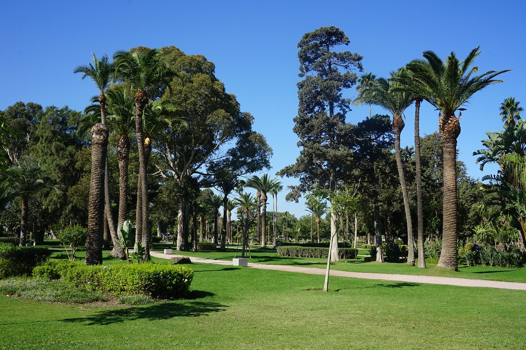 Dans le jardin de la Villa Harris à Tanger.