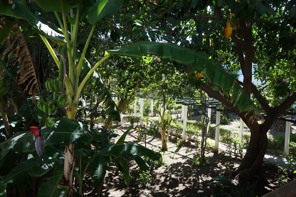 Jardin du musée de la Casbah depuis le café du Theatre Riad Sultan à Tanger.