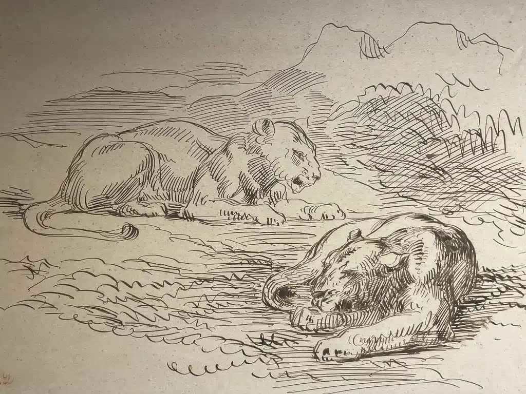 Lions de l'Atlas par Eugène Delacroix dans le Musée Dar Niaba à Tanger.