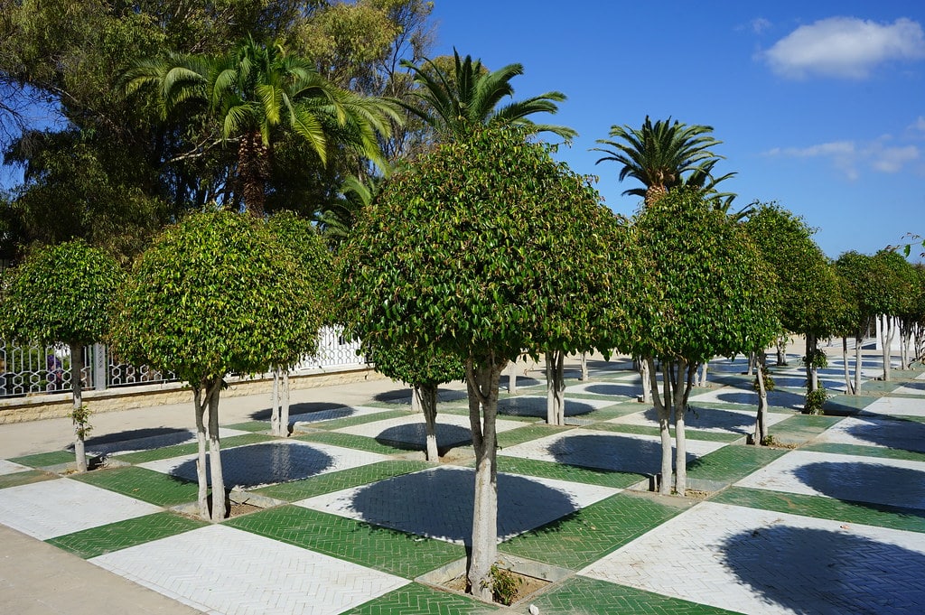 Dans le jardin du musée de l'indépendance à Tanger.