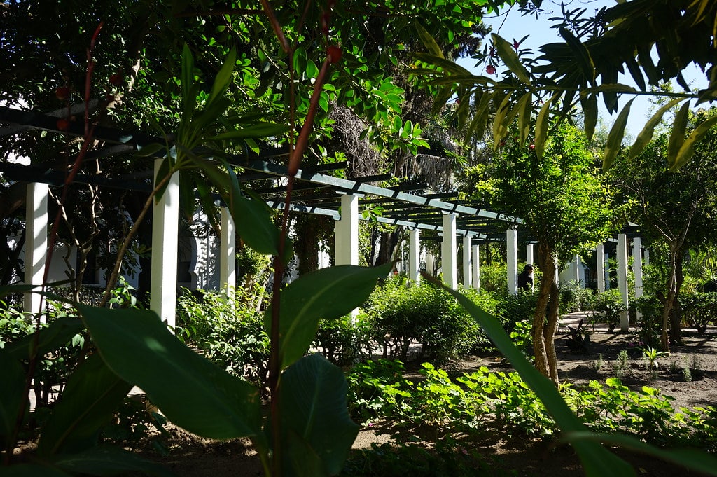 Pergola dans le jardin du musée de la Kasbah à Tanger.