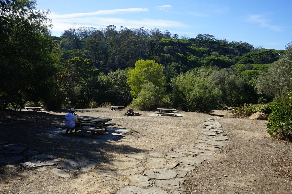 Aire de pique nique dans le parc Perdicaris à Tanger.