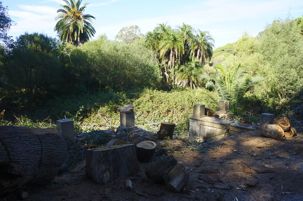Partie délabrée du Parc Perdicaris à Tanger.